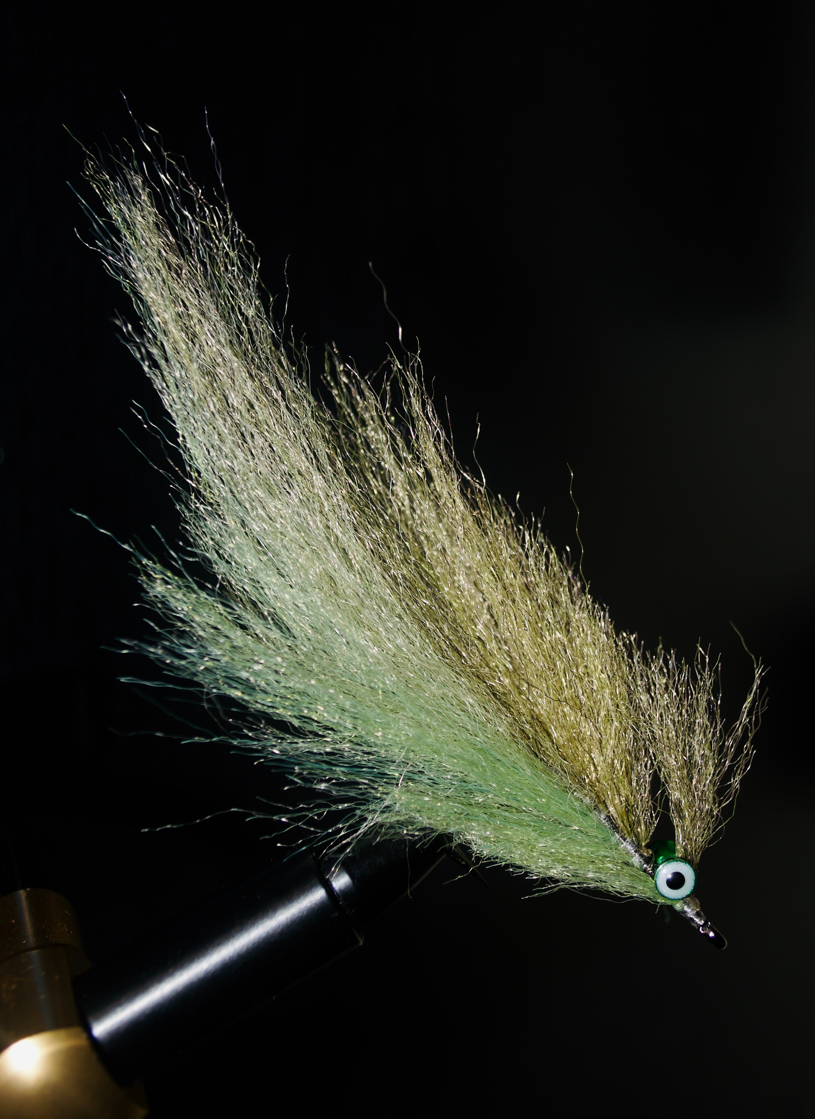 Bait Fish