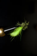 Baby Craw