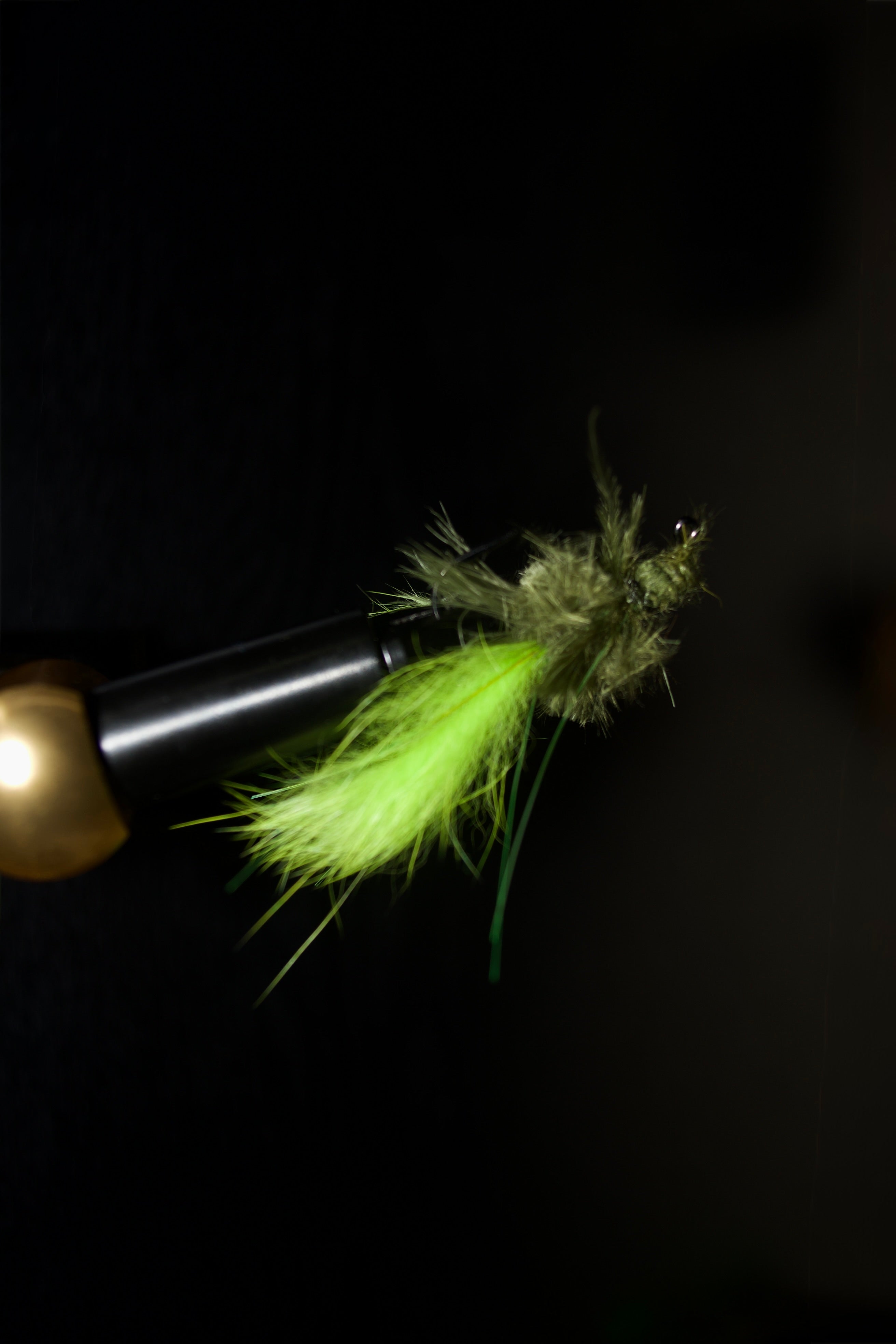 Baby Craw