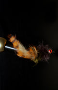 Southern Craw