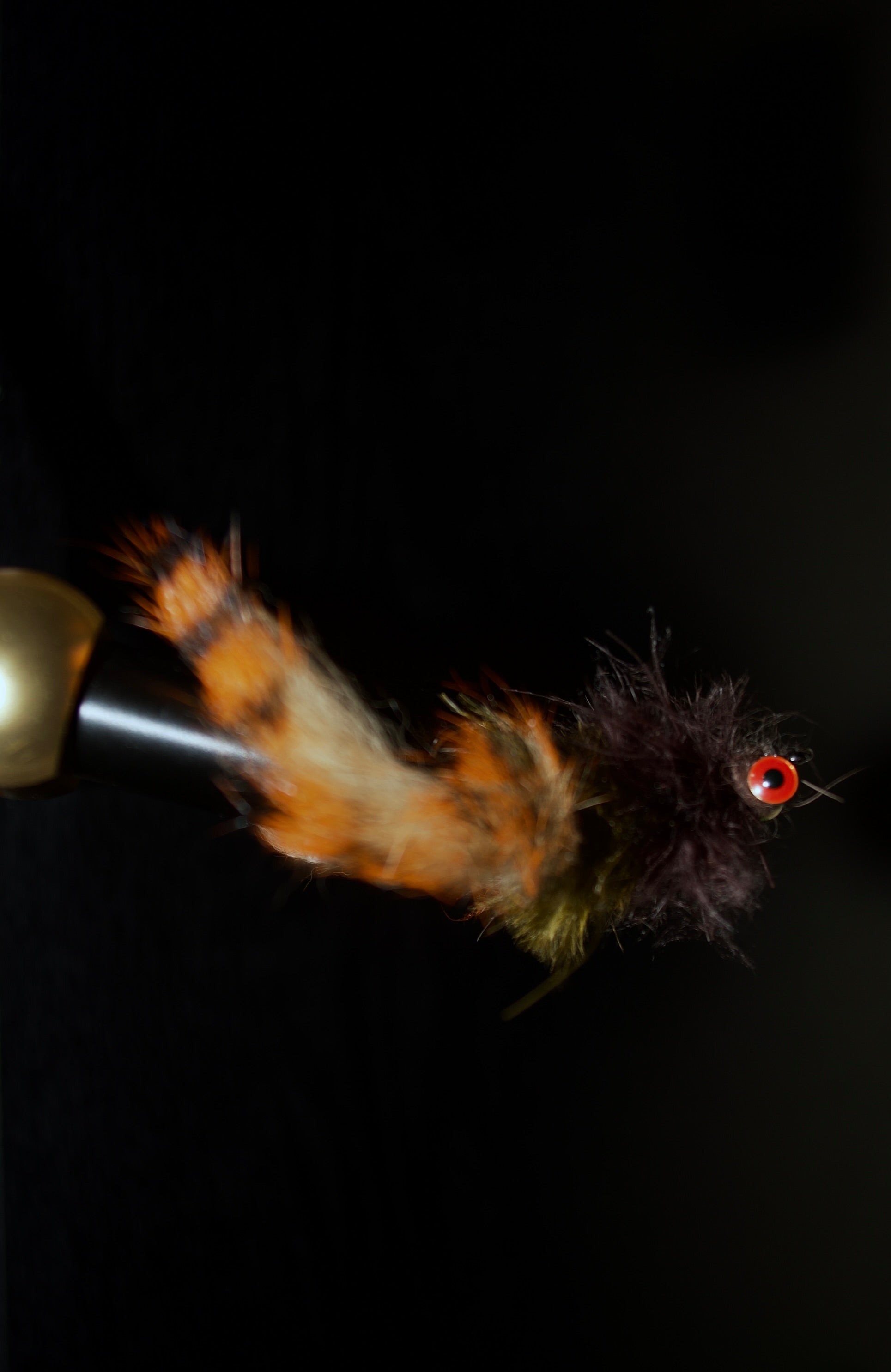 Southern Craw
