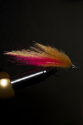 Pink Sand Minnow