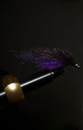 Starfall Minnow