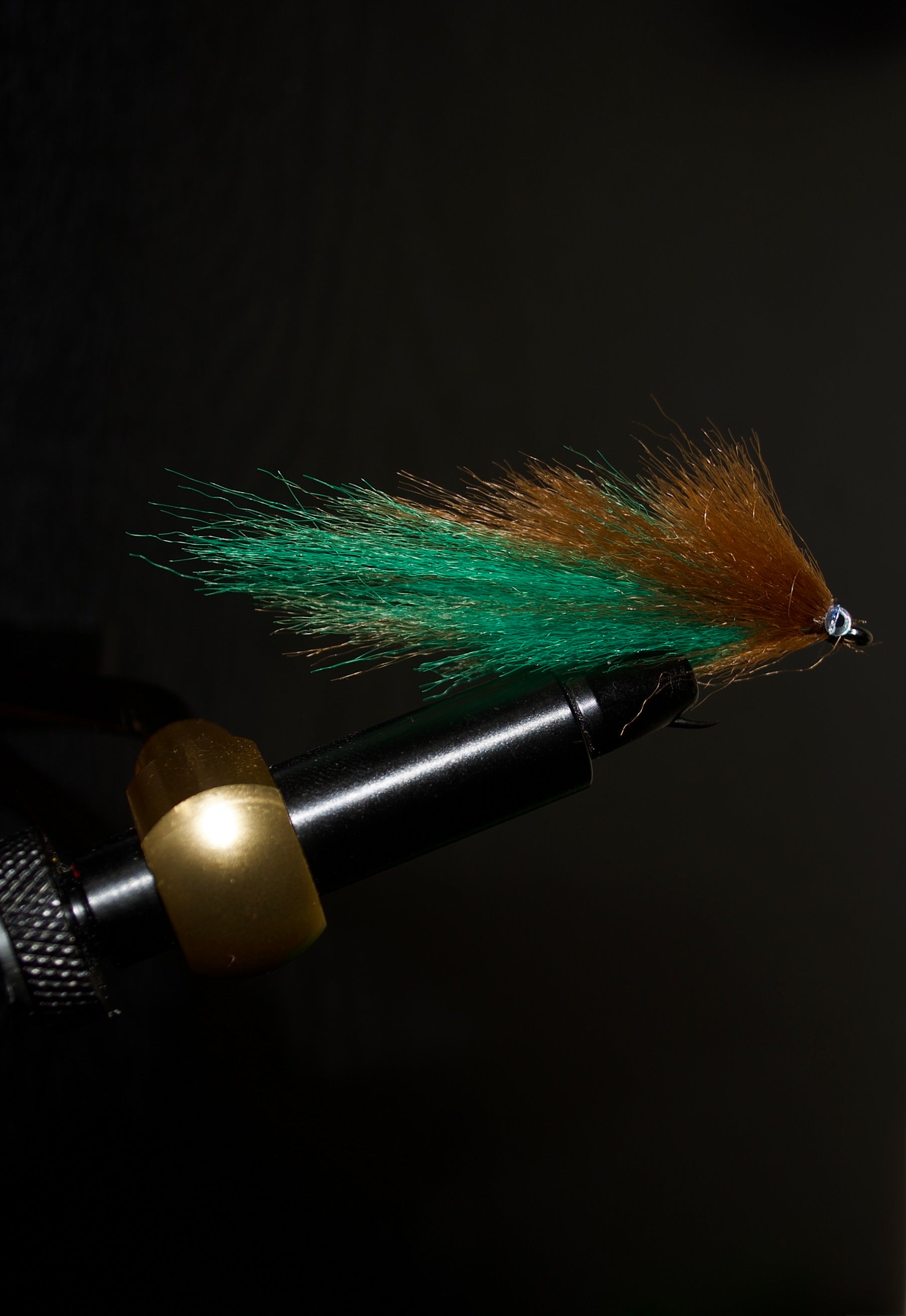 Marsh Minnow